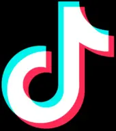 TikTok Ads